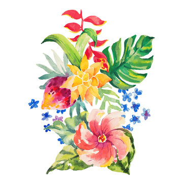 Watercolor flowers illustration. Isolated composition. Good for 