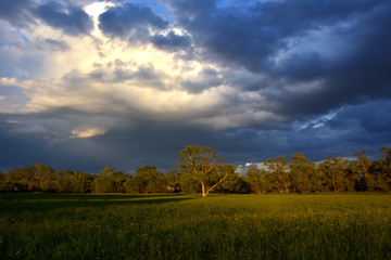 Beautiful landscape with sunset clouds and field. processed in Nik Color Efex Pro - obrazy, fototapety, plakaty