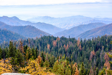 Sequoia National Park mountain landscape at autumn