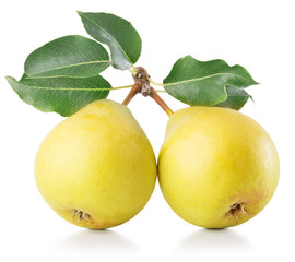 yellow pears isolated on a white background