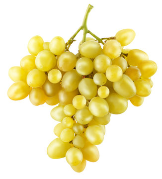 yellow grapes isolated on a white background