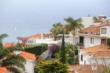 Häuser und Gärten am Hang über dem Meer in Funchal auf Madeira