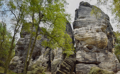 Sandstone rocks, Tisa, Czech Republic
