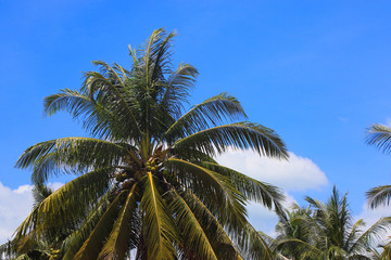 Scenes of Malaysia
