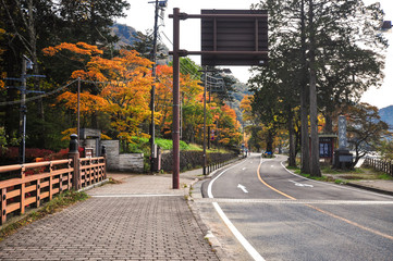 Fototapeta na wymiar Autumn in Japan