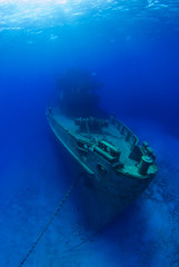 The bow or front end of a sunken war ship as she sits peacefully at the bottom of the sea. underneath the surface the deep blue water is calm for the final resting place of this vessel 
