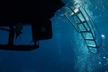 underneath the dive boat where scuba divers return. bubbles can often be seen cascading into the...