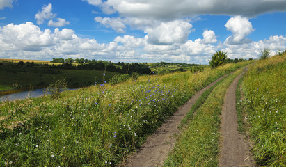 Naklejka premium Sunny summer landscape
