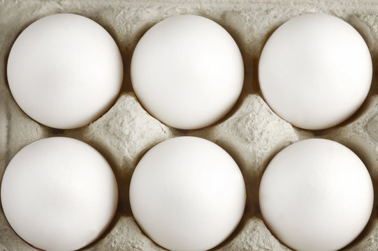 White eggs in the packed box 