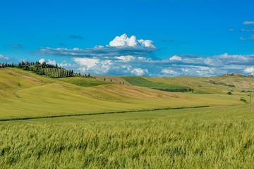 Obraz premium Tuscan hills in the spring