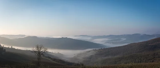 Rolgordijnen Buongiorno con nebbia © quinty76