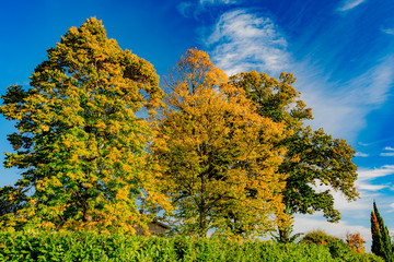 Autumn on the Tuscan hills