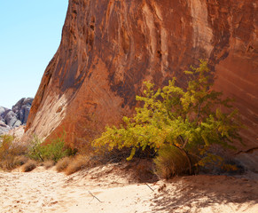 Scenic Valley of Fire State Park, Nevada, USA