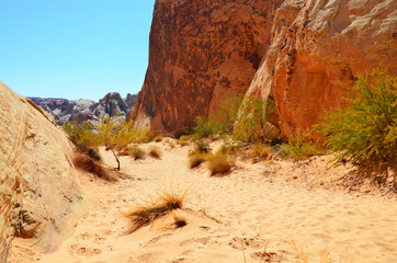 Entry to Valley of Fire, Nevada, USA