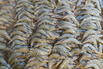Close-up of a lot of fresh shrimps at a seafood market.