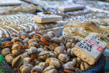 Close-up of clams and other seafood being sold at the Noryangjin Fisheries Wholesale 

Market (or Noryangjin Fish Market) in Seoul, South Korea.
