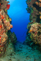 Fototapeta na wymiar This underwater corridor has appeared over centuries within a warm water tropical coral reef in Grand Cayman. This swim through is a feature in the landscape that scuba divers enjoy when diving 