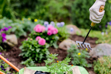 Worker’s hand with a rake near the rokery in the garden, horticulture and the flower planting concept
