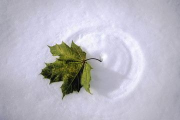 Blowing. in the Wind