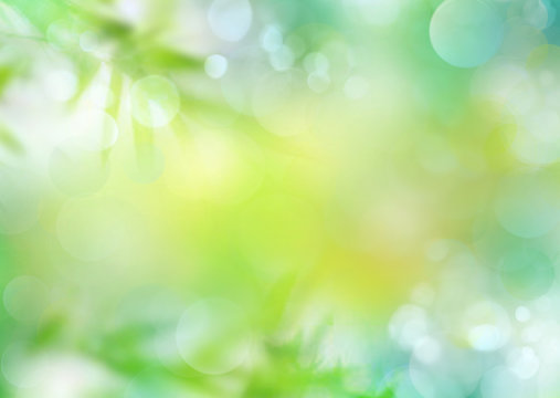 Spring Green Nature Blur Background.