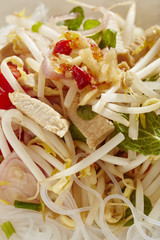 a bowl of Thai Noodle Salad made with chicken and mung bean threads