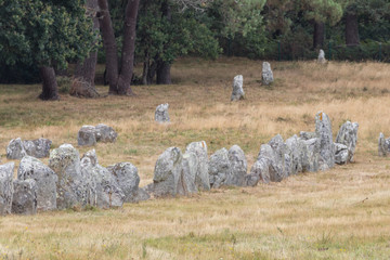 Carnac Stone Fields