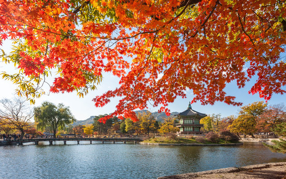 Maple trees with a lake  at gyeongbokgung palace, Seoul, South Korea.