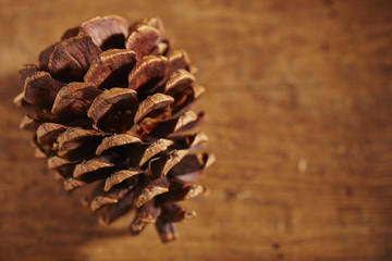 Decorative pine cones