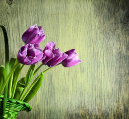 Spring tulips in a basket on a wooden background