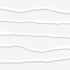 Torn paper on white background. Isolated ripped paper. Template for your design.