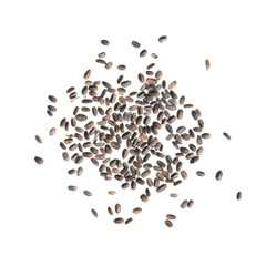 Seeds of Mexican giant hyssop (Agastache mexicana) isolated on white background