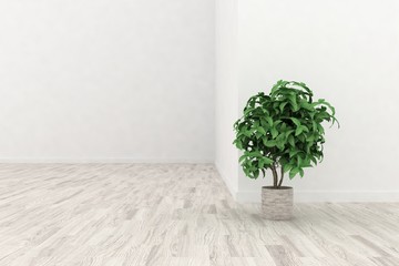 White modern empty room. Scandinavian interior design. 3D illustration