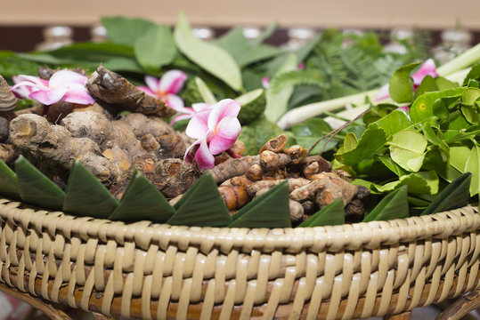 Ayurveda herbs
