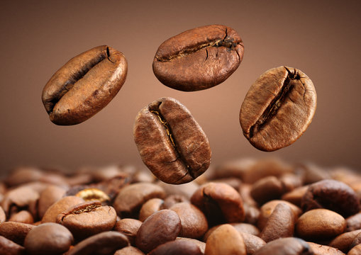 Closeup falling coffee bean on brown background