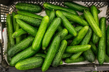 Cucumbers at market