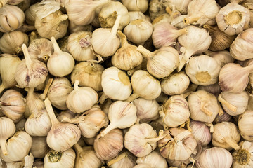 Close-up of garlic background