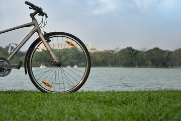 Fototapeta premium Bicycles parked near a quiet pond.