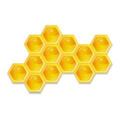 Organic raw honey. Healthy food production.