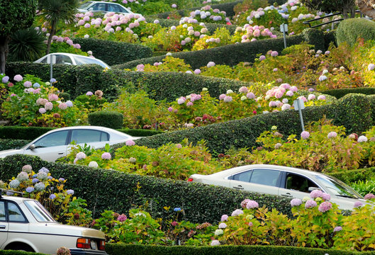 San Francisco, Lombard Street, one of the most famous landmark and the crookedest street in the world.