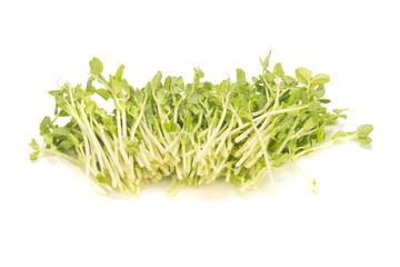 Pea Sprouts isolated on White Background