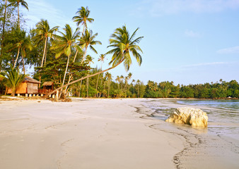 Tropical beach
