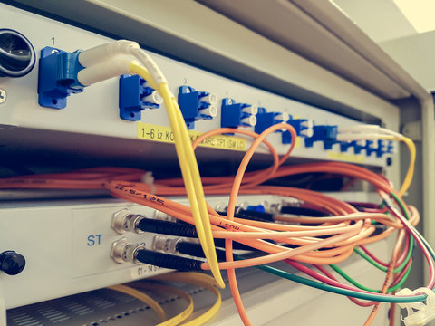 Closeup of fiber optic cable plugged into switch.