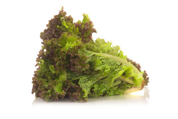 red coral salad isolated on the white background