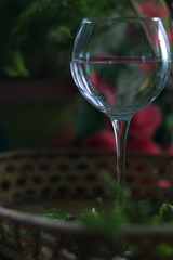 A glass of water on the flowers and plants against
