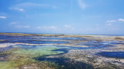 Obraz premium Tanzania Zanzibar Paje Beach Africa