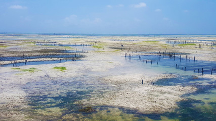 Tanzania Zanzibar Paje Beach Low Tide Africa