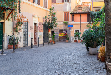 typical italian street in Trastevere with green plants, Rome, Italy