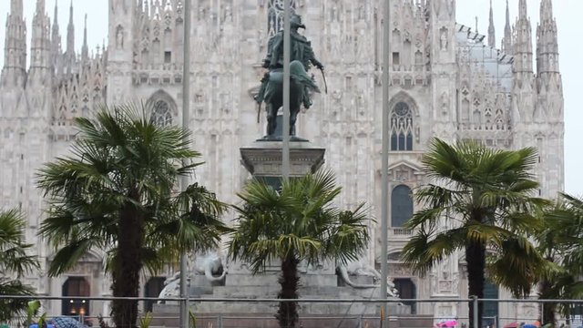 palm trees in duomo