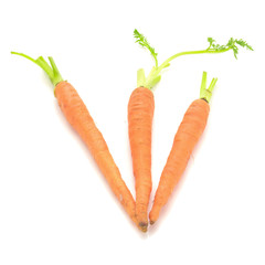 baby carrots isolated on a white background