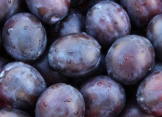 Fresh plums with water droplets